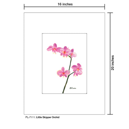 Little Skipper Orchid, Print (#7111)