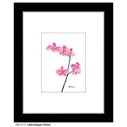 Little Skipper Orchid, Print (#7111)