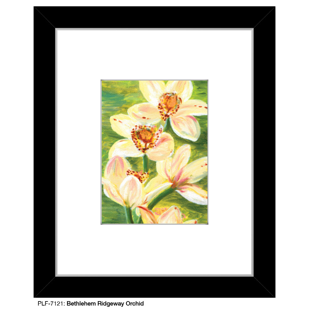 Bethlehem Ridgeway Orchid, Print (#7121)