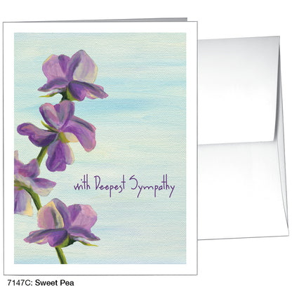 Sweet Pea, Greeting Card (7147C)