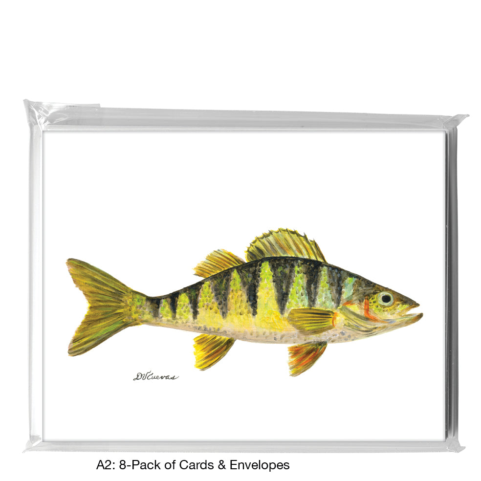 Yellow Perch, Greeting Card (7151)