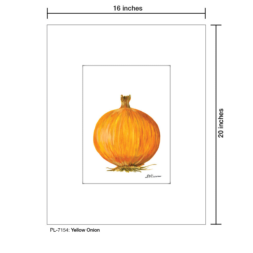 Yellow Onion, Print (#7154)