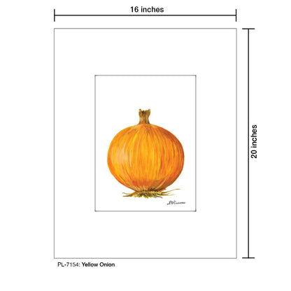 Yellow Onion, Print (#7154)