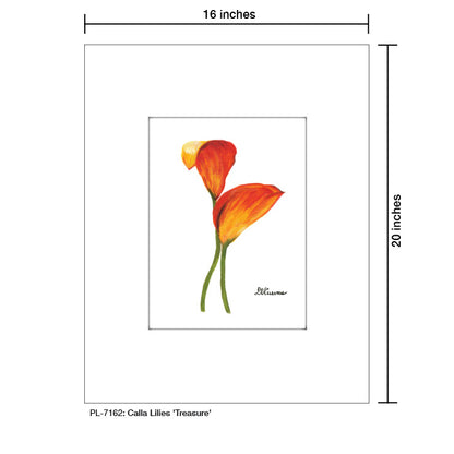 Calla Lilies 'Treasure', Print (#7162)