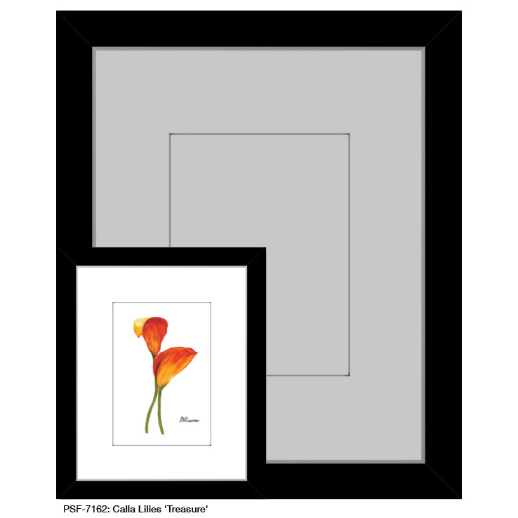 Calla Lilies 'Treasure', Print (#7162)