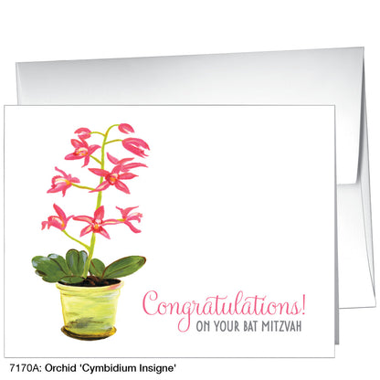 Orchid 'Cymbidium Insigne', Greeting Card (7170A)