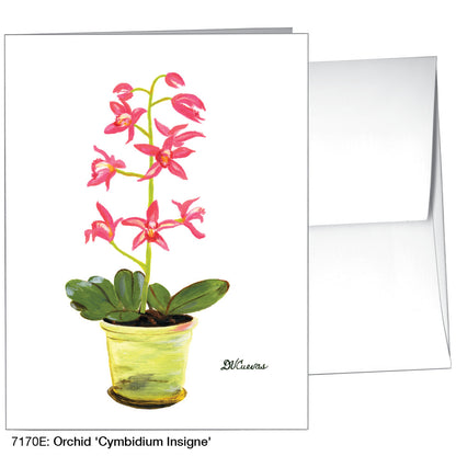 Orchid 'Cymbidium Insigne', Greeting Card (7170E)