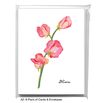 Sweet Pea Pink, Greeting Card (7179)