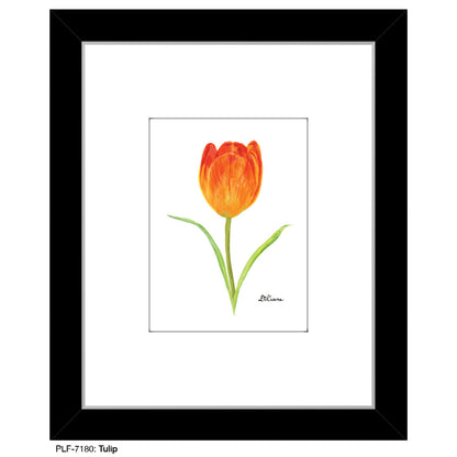 Tulip, Print (#7180)