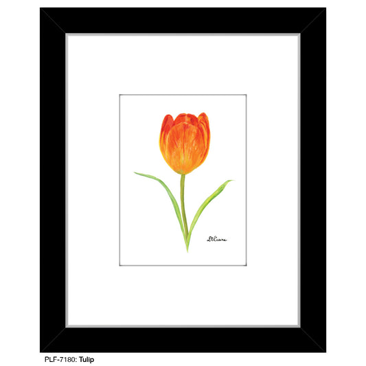 Tulip, Print (#7180)