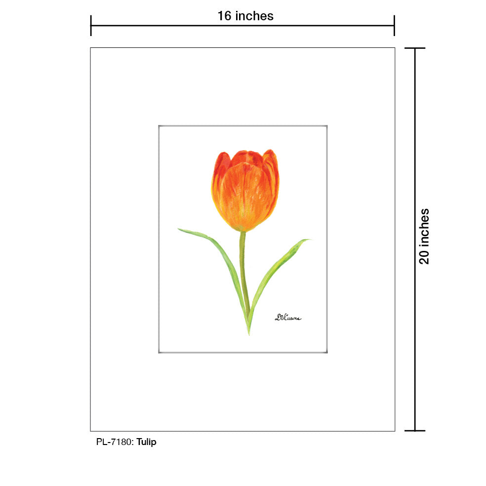 Tulip, Print (#7180)