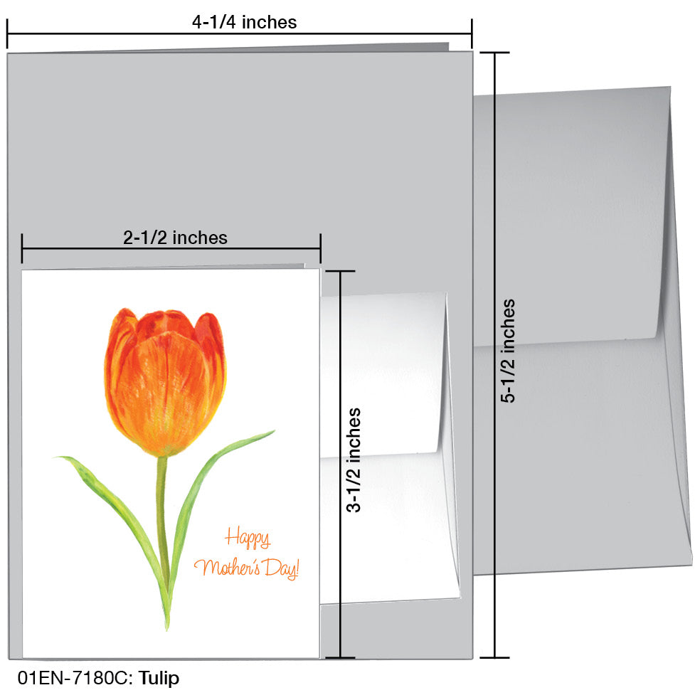 Tulip, Greeting Card (7180C)