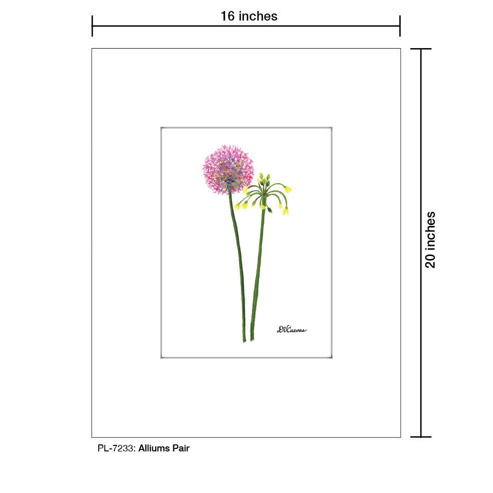 Alliums Pair, Print (#7233)