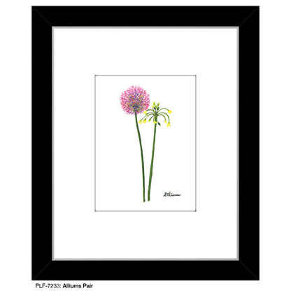 Alliums Pair, Print (#7233)