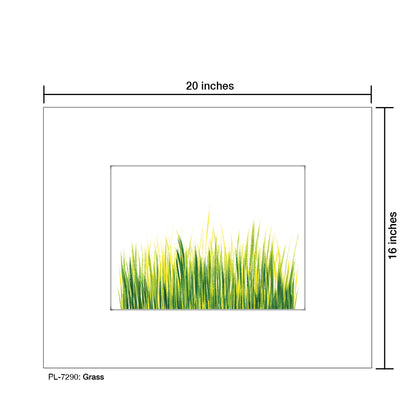 Grass, Print (#7290)