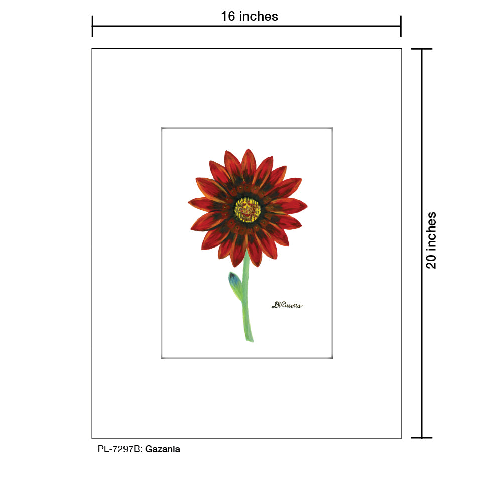 Gazania, Print (#7297B)