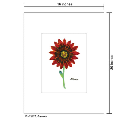 Gazania, Print (#7297B)