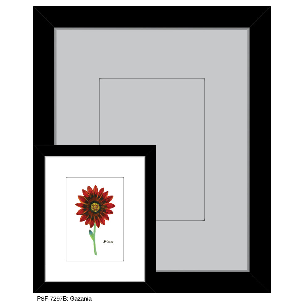 Gazania, Print (#7297B)