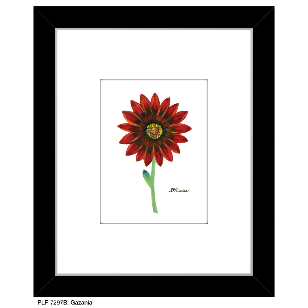 Gazania, Print (#7297B)