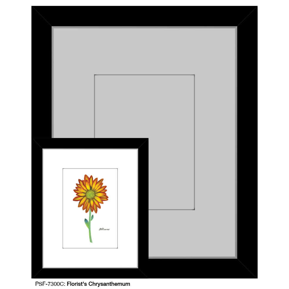 Florist's Chrysanthemum, Print (#7300C)