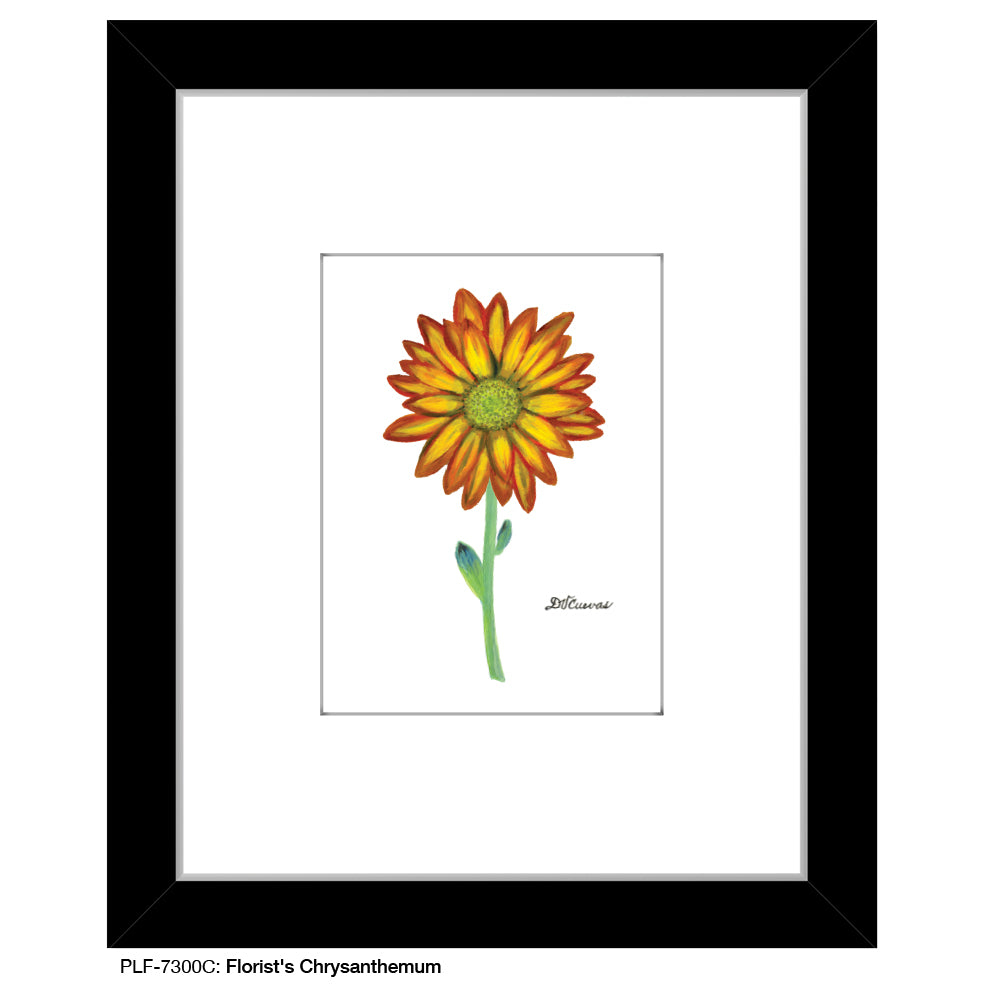 Florist's Chrysanthemum, Print (#7300C)