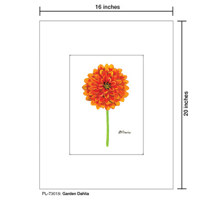 Garden Dahlia, Print (#7301S)