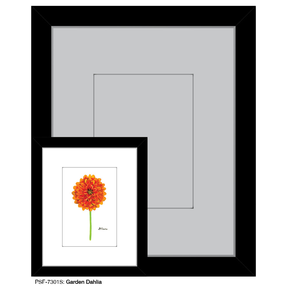 Garden Dahlia, Print (#7301S)