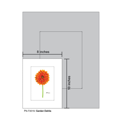 Garden Dahlia, Print (#7301S)