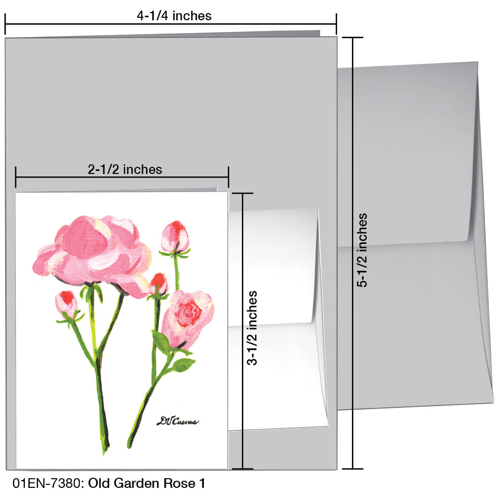 Old Garden Rose 1, Greeting Card (7380)