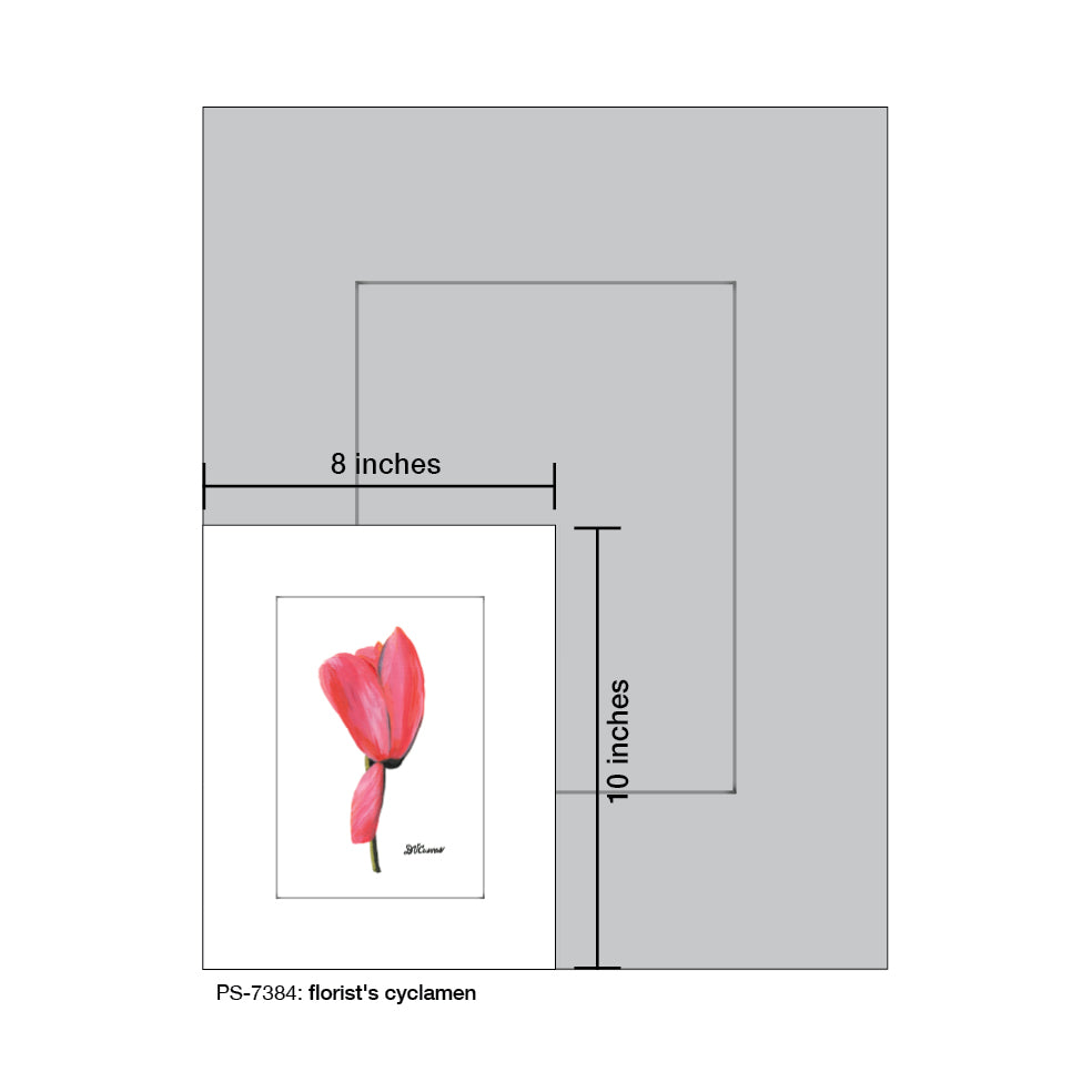 Florist's Cyclamen, Print (#7384)