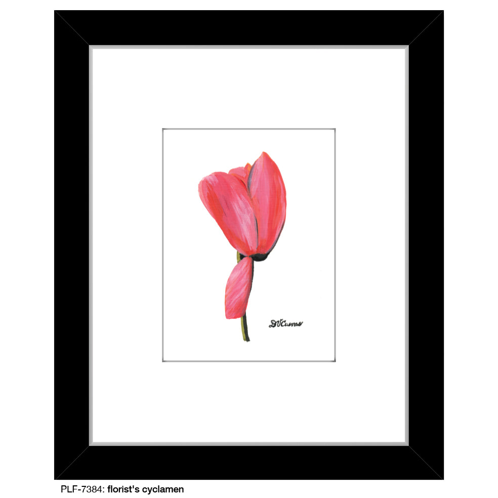 Florist's Cyclamen, Print (#7384)