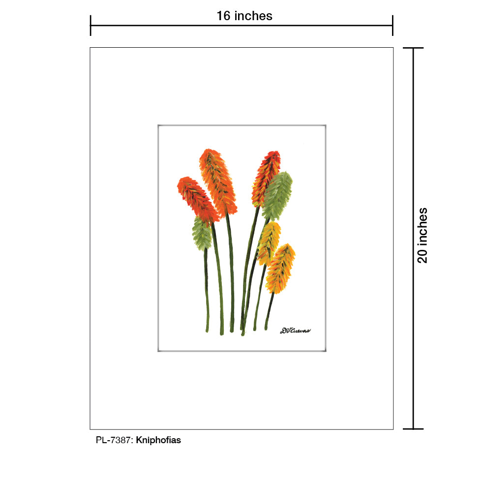 Kniphofias, Print (#7387)