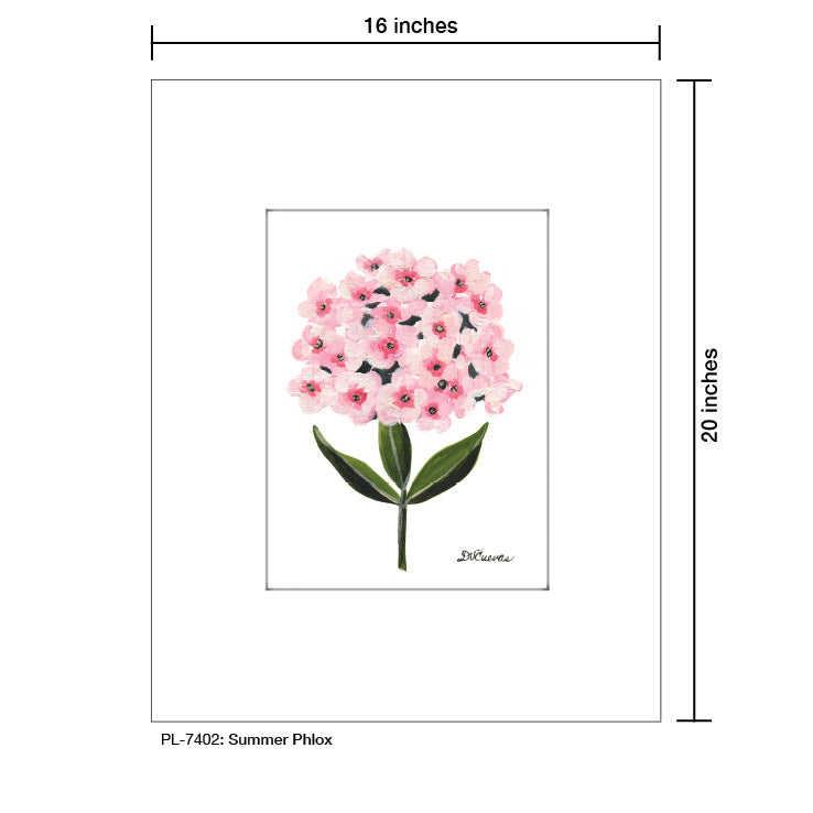 Summer Phlox, Print (#7402)