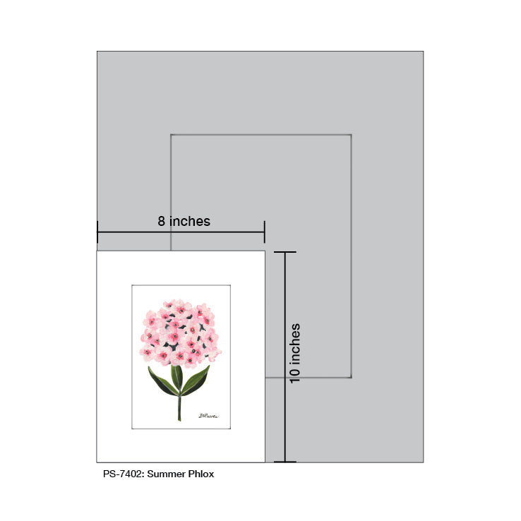 Summer Phlox, Print (#7402)