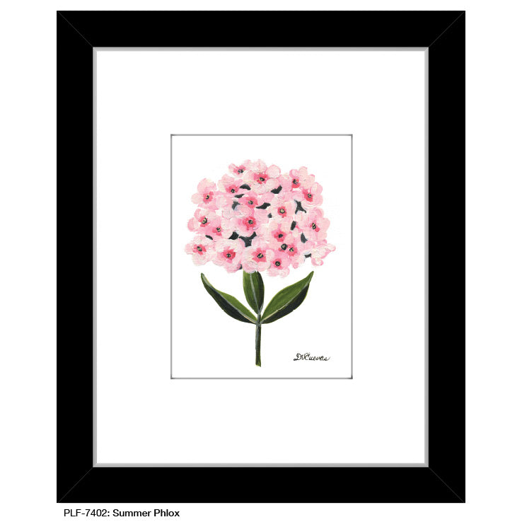 Summer Phlox, Print (#7402)