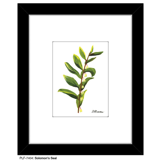 Solomon's Seal, Print (#7404)