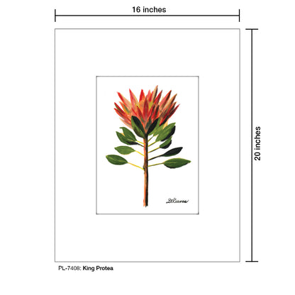 King Protea, Print (#7408)