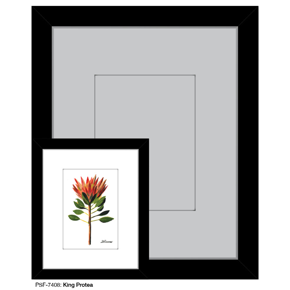 King Protea, Print (#7408)