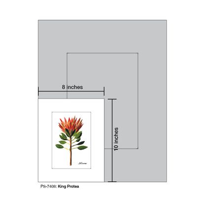 King Protea, Print (#7408)