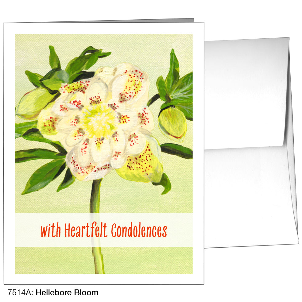 Hellebore Bloom, Greeting Card (7514A)