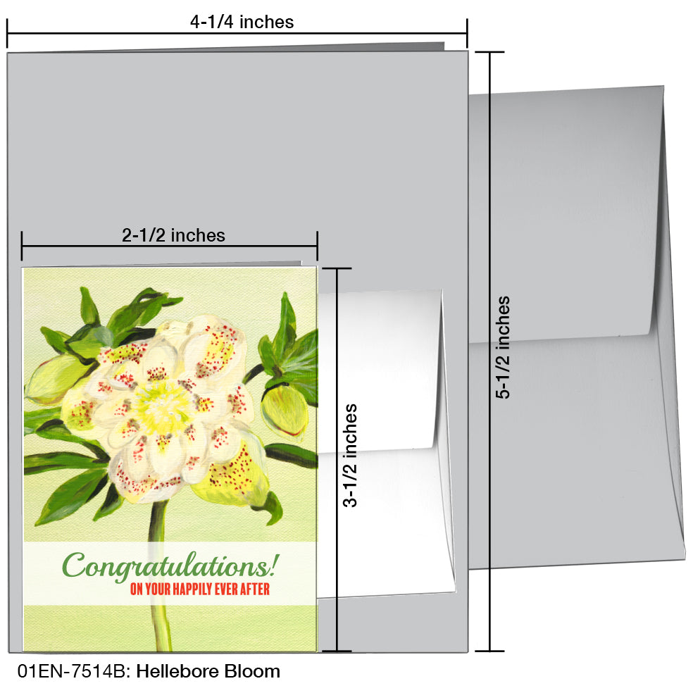 Hellebore Bloom, Greeting Card (7514B)