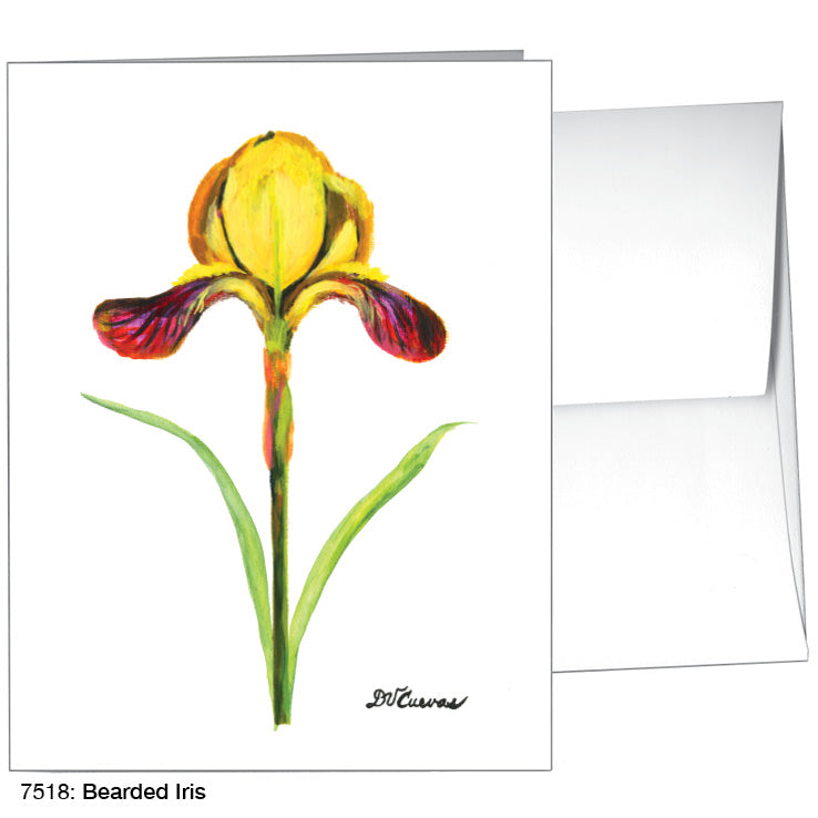 Bearded Iris, Greeting Card (7518)