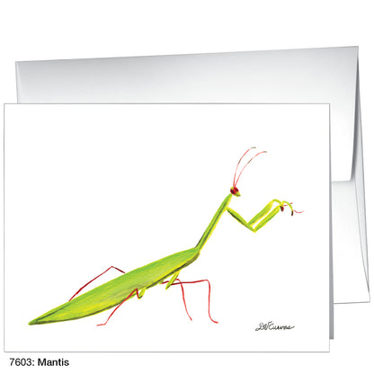 Mantis, Greeting Card (7603)