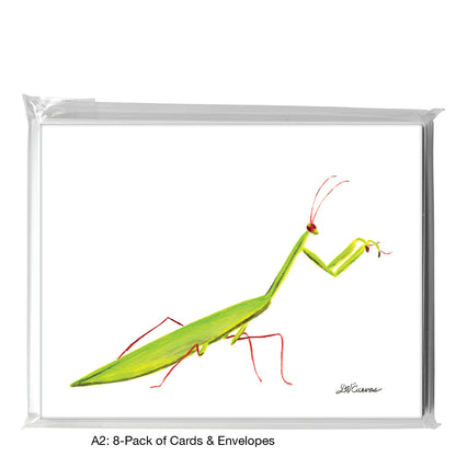 Mantis, Greeting Card (7603)