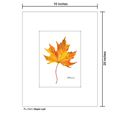 Maple Leaf, Print (#7623)