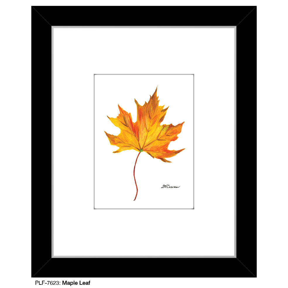 Maple Leaf, Print (#7623)