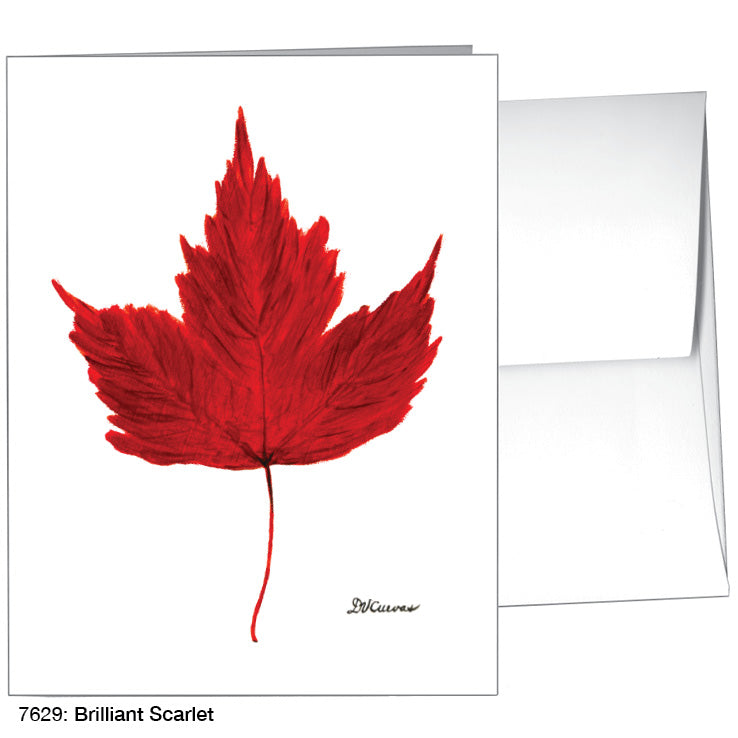 Brilliant Scarlet, Greeting Card (7629)