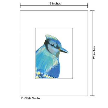 Blue Jay, Print (#7694D)