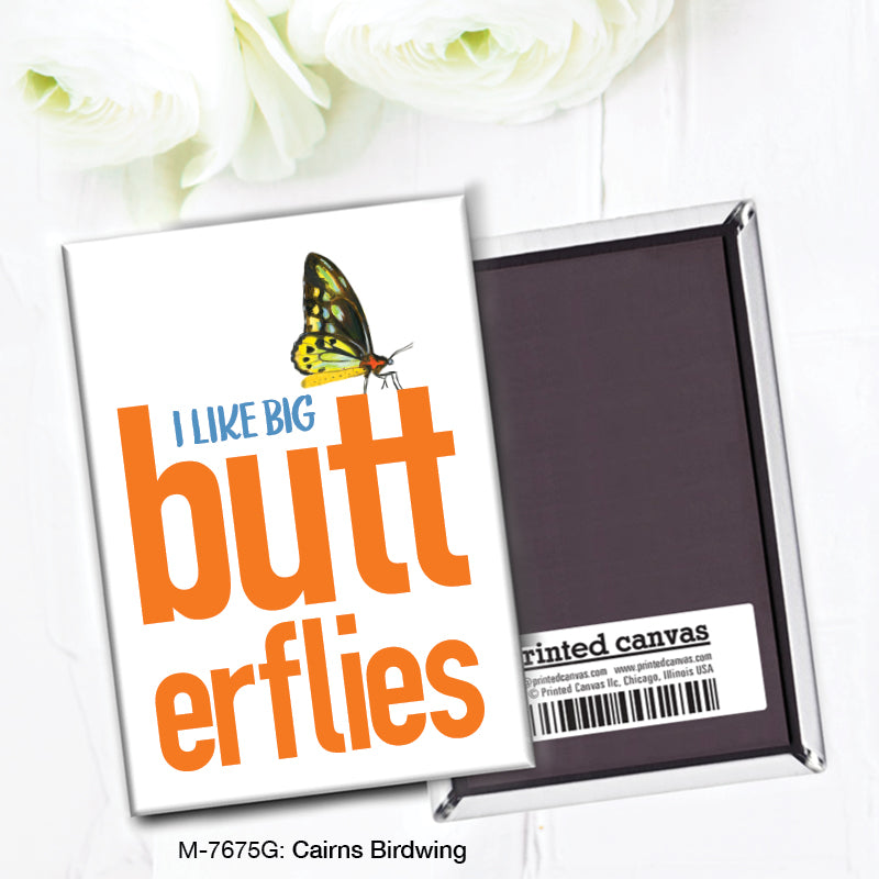 Cairns Birdwing, Magnet (7675G)