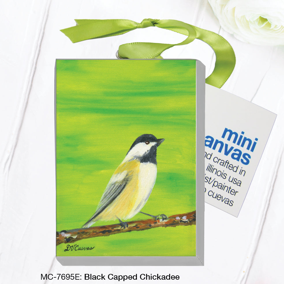 Black Capped Chickadee (MC-7695E)